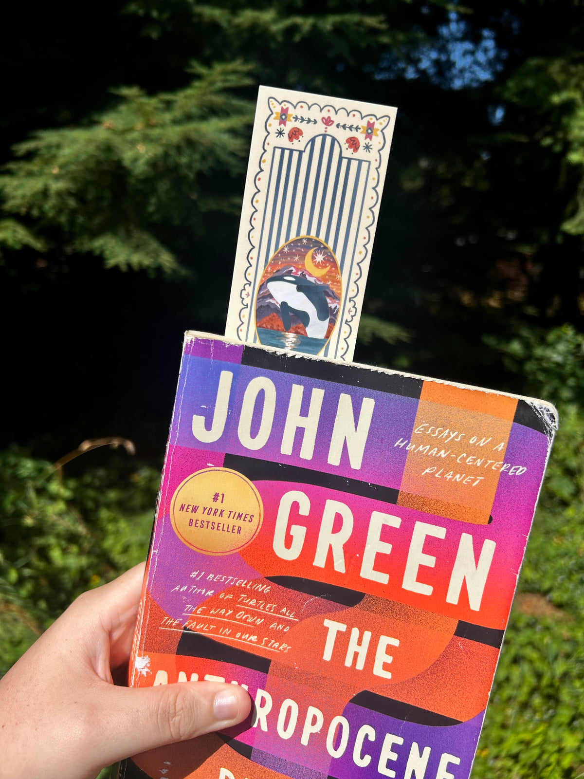 Orca Bookmark