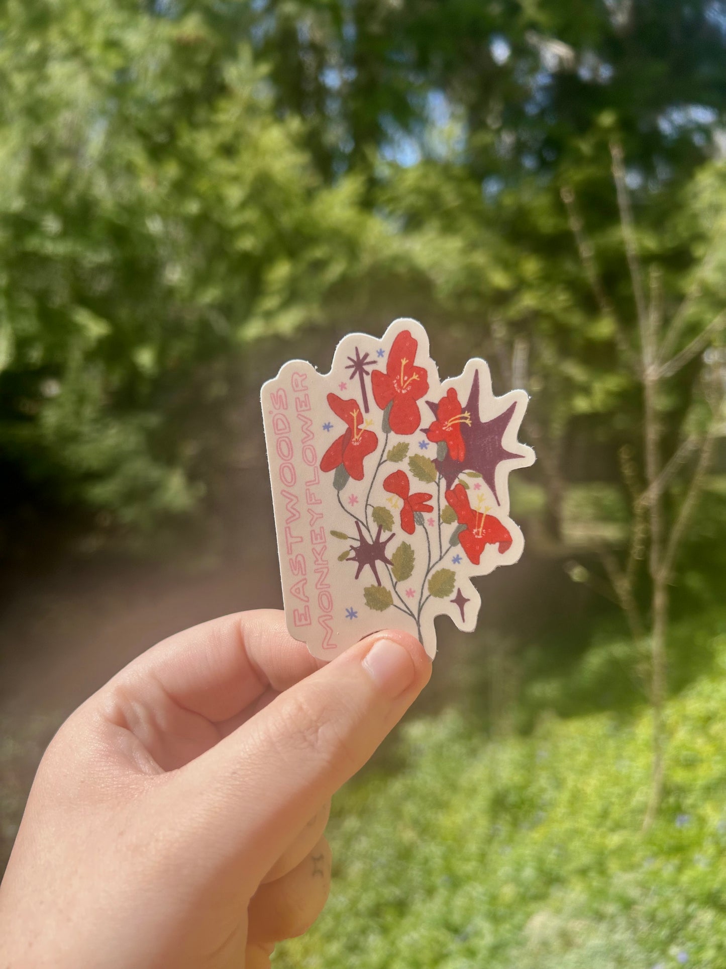 Mail Club Catch Ups: Singular Items