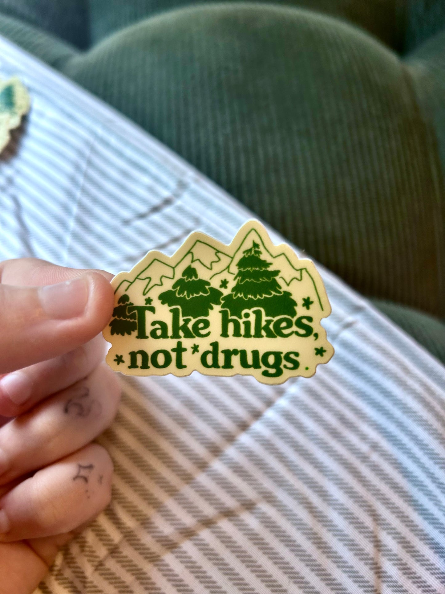 Take Hikes Not Drugs Mini Sticker