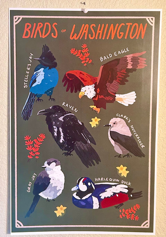 Birds of Washington State Poster Print