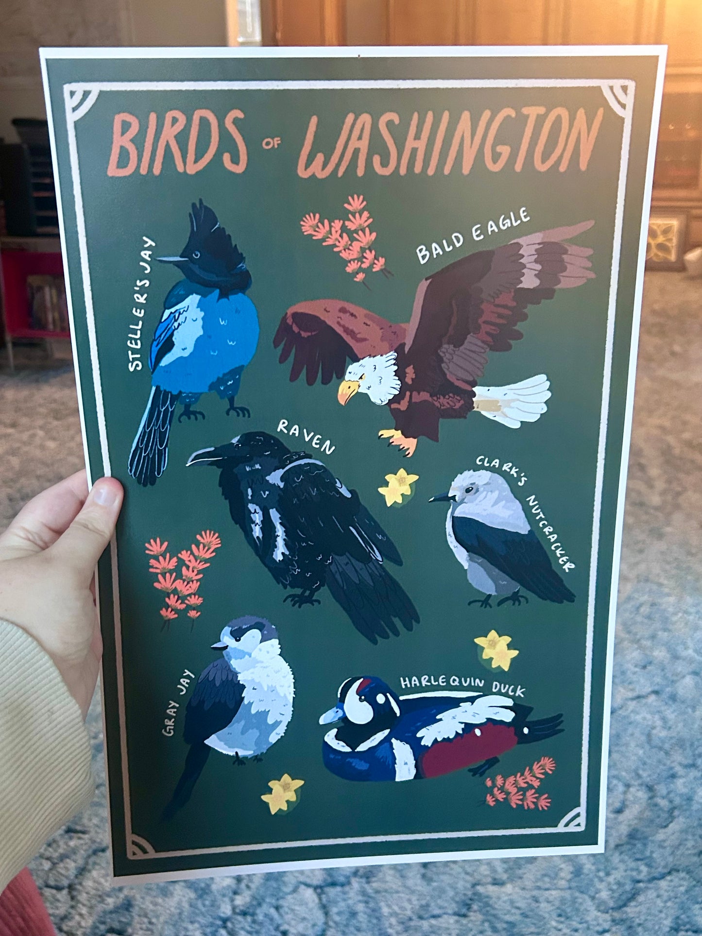 Birds of Washington State Poster Print