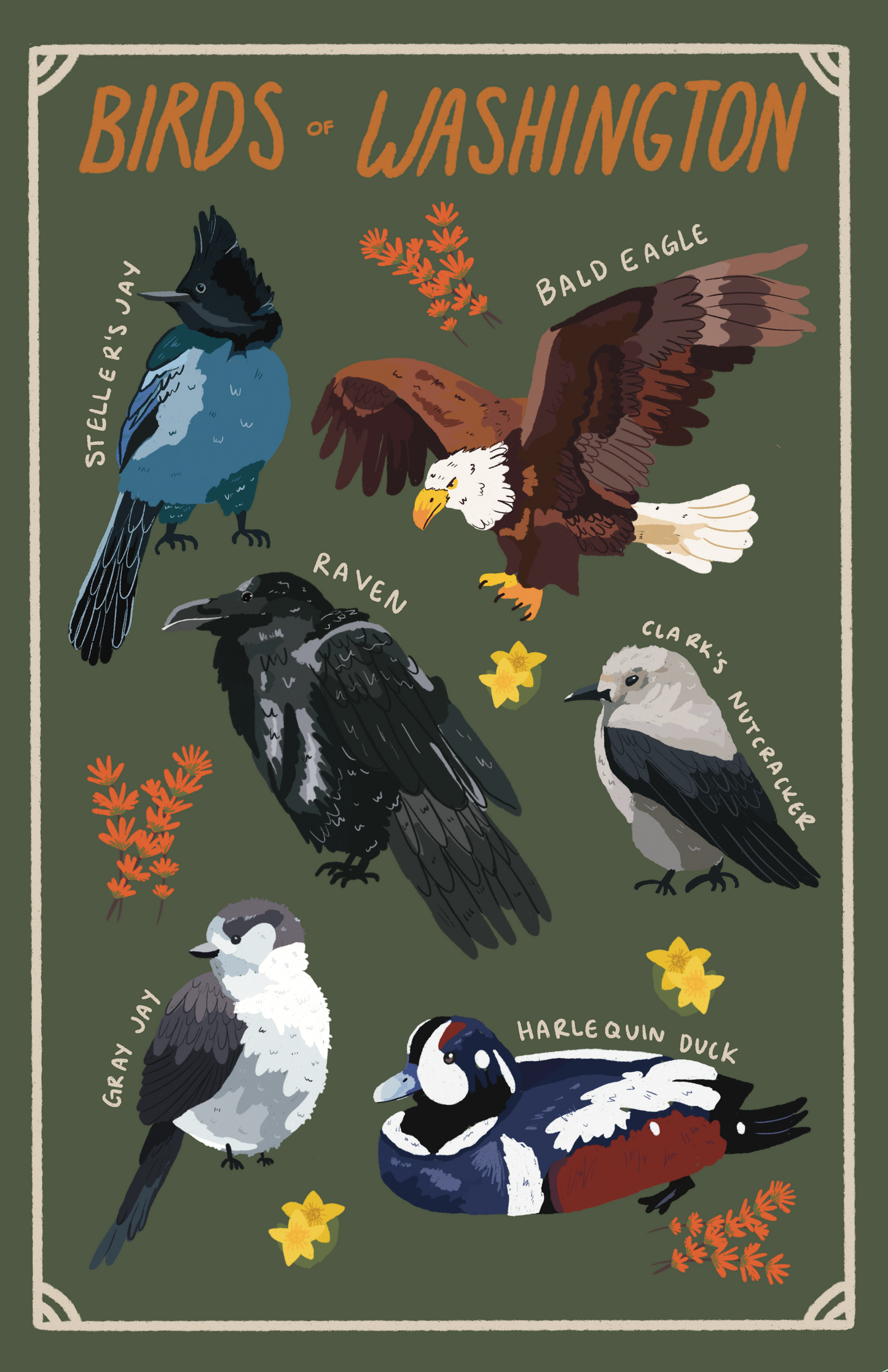 Birds of Washington State Poster Print