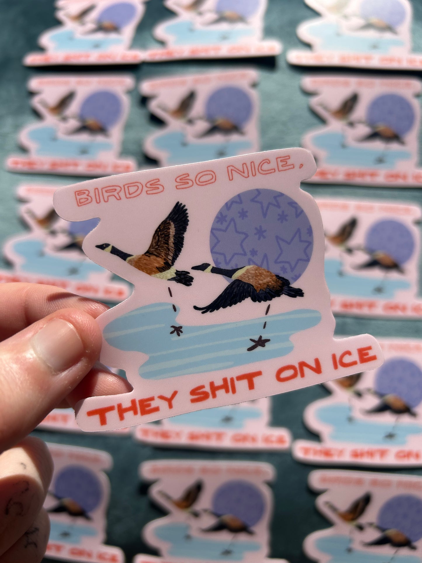Birds So Nice They Shit On Ice MIRAC Fundraiser Sticker