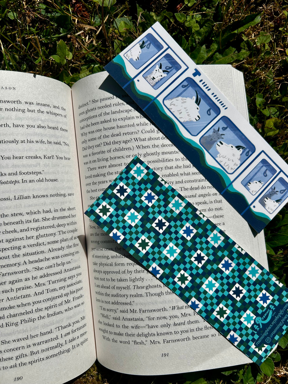 Mountain Goats on the Light Rail Bookmark