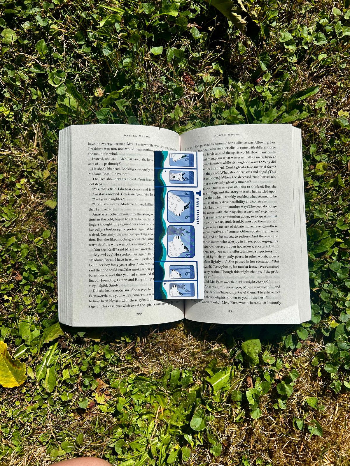 Mountain Goats on the Light Rail Bookmark