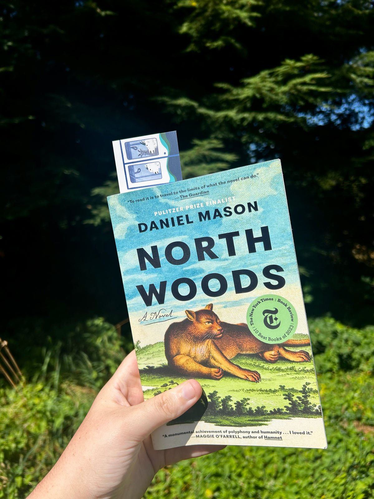 Mountain Goats on the Light Rail Bookmark