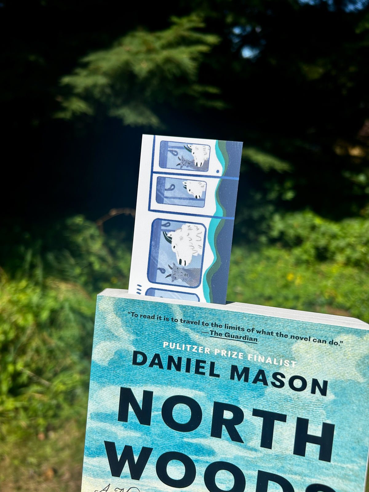 Mountain Goats on the Light Rail Bookmark